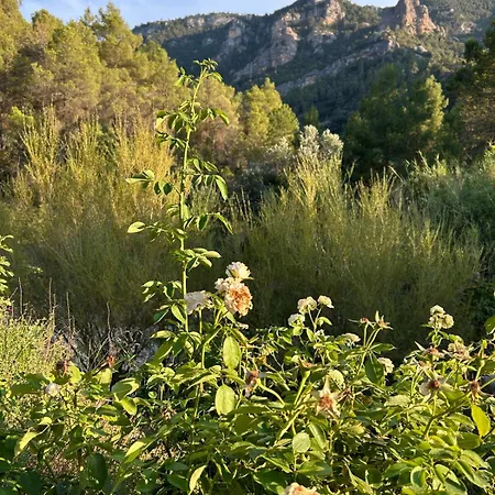 Nyaraló Mas De Borras
