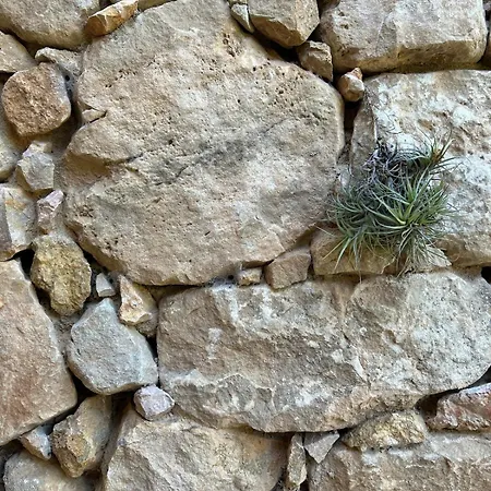 Mas De Borras * ベセイテ