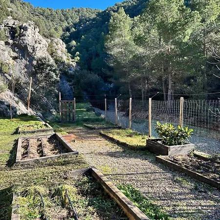 別荘 Mas De Borras