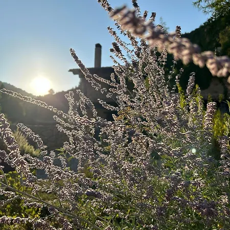 Mas De Borras 度假居