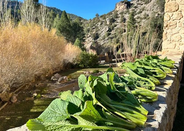 度假居 Mas De Borras 贝塞特