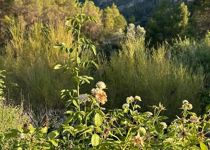 度假居 Mas De Borras