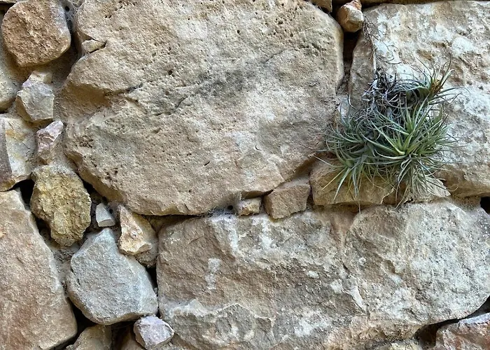 Mas De Borras * 贝塞特