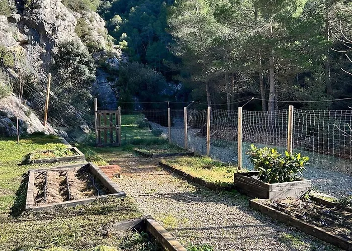 度假居 Mas De Borras