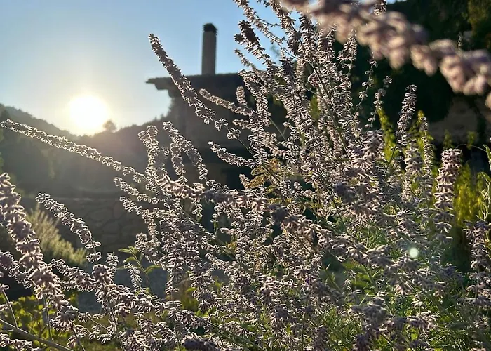 Mas De Borras Feriehus